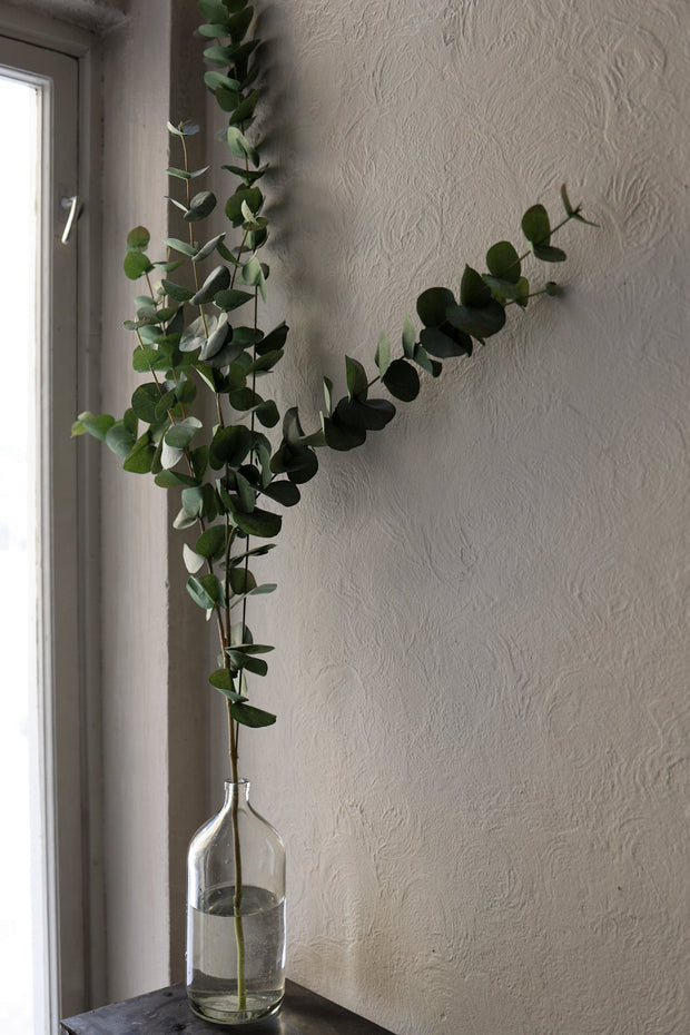 Kvist Eucalyptus 120 cm